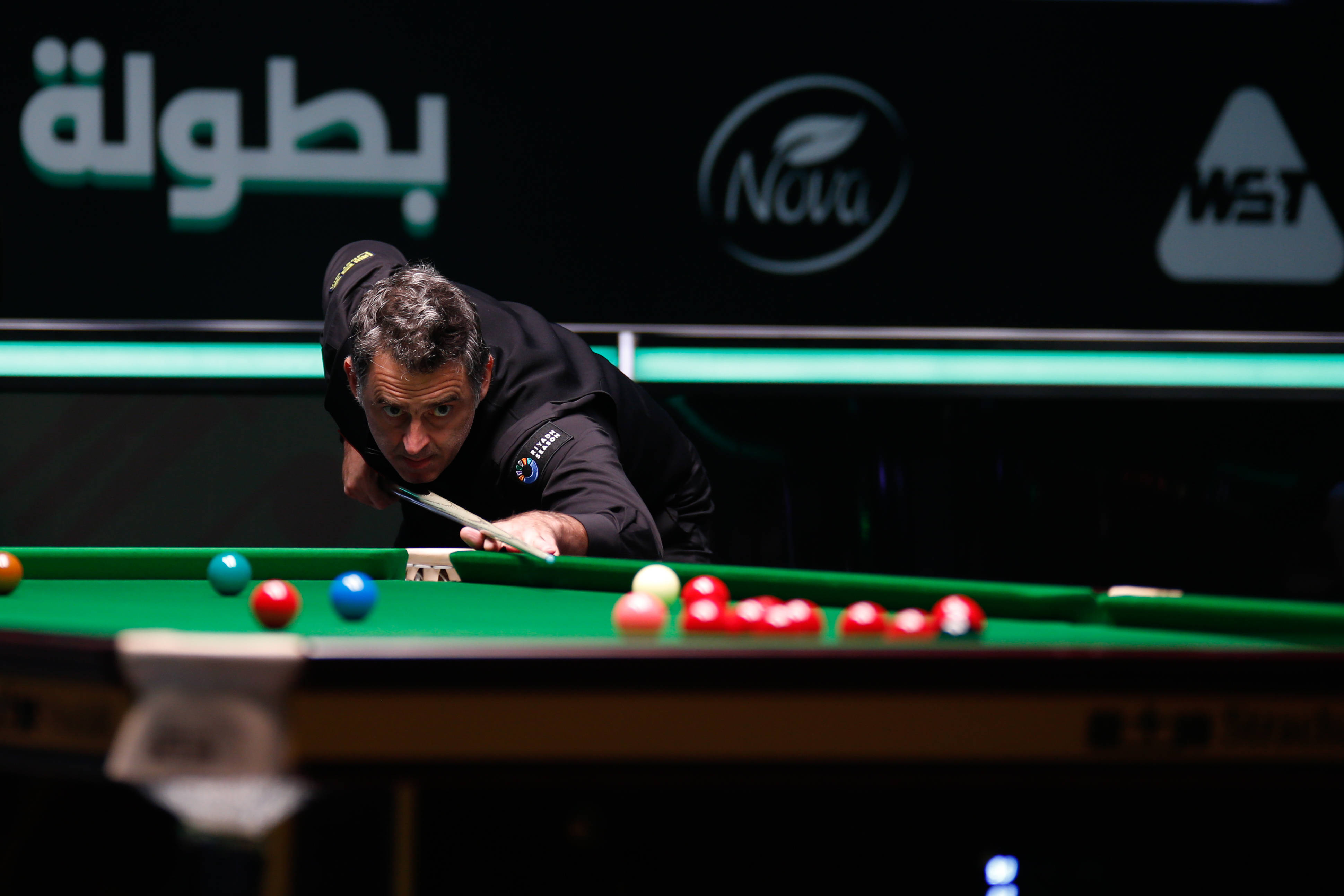 今年的嘉年 今年的嘉年